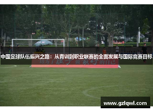 中国足球队伍振兴之路：从青训到职业联赛的全面发展与国际竞赛目标