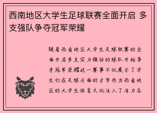 西南地区大学生足球联赛全面开启 多支强队争夺冠军荣耀